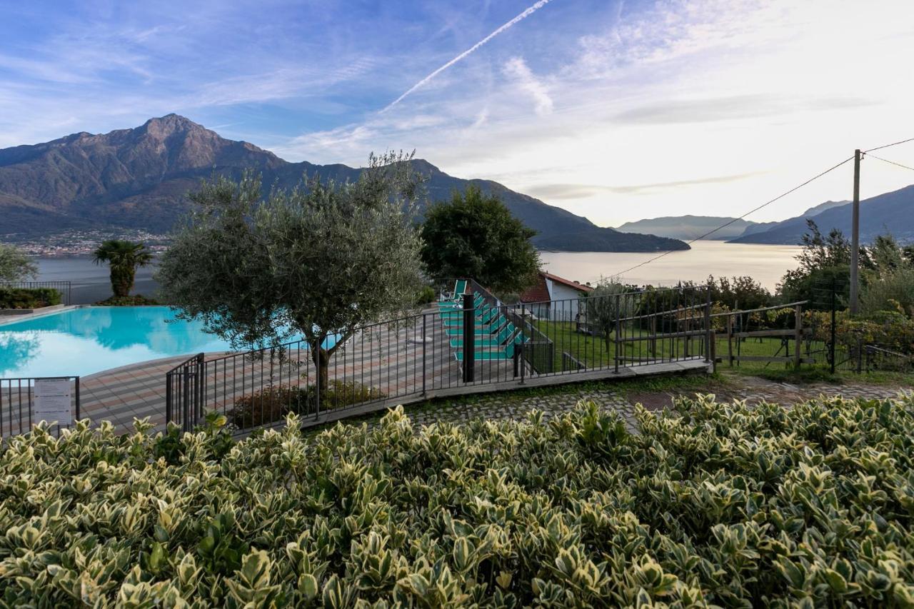 La Collina Degli Ulivi Apartment Vercana Exterior photo